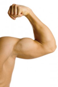 muscles1