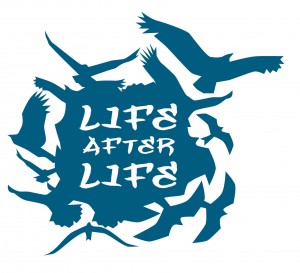 image of bird silhouettes in flight with text "Life After Life"